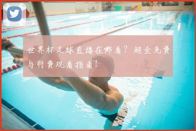 世界杯足球直播在哪看？超全免费与付费观看指南！
