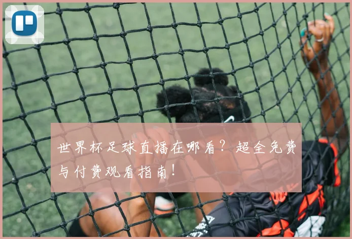 世界杯足球直播在哪看？超全免费与付费观看指南！